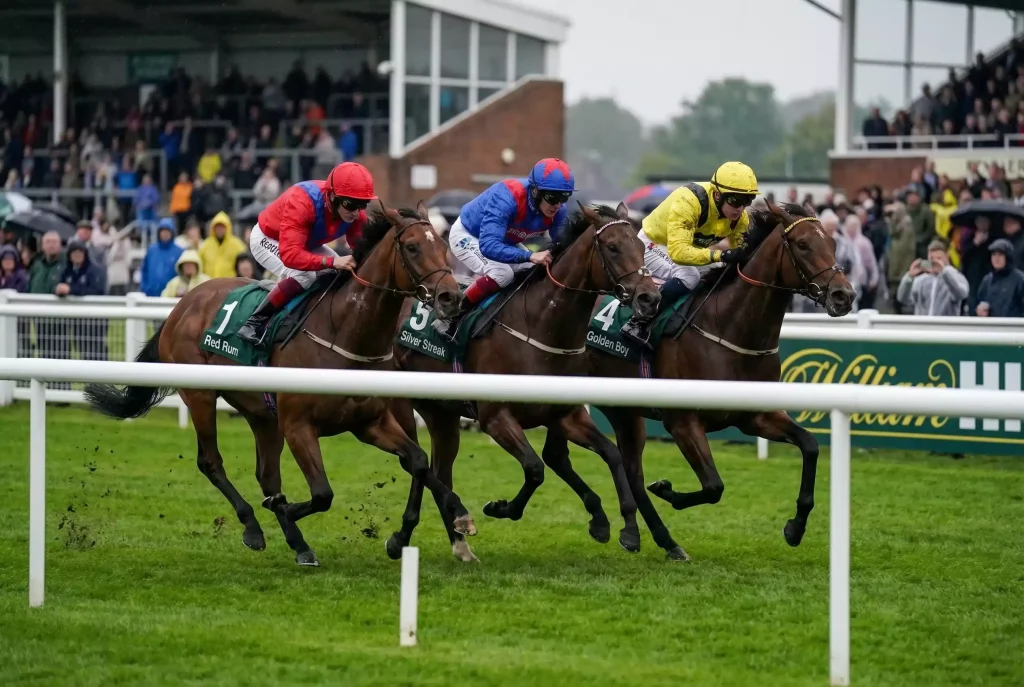 Each-way betting strategy for UK horse racing